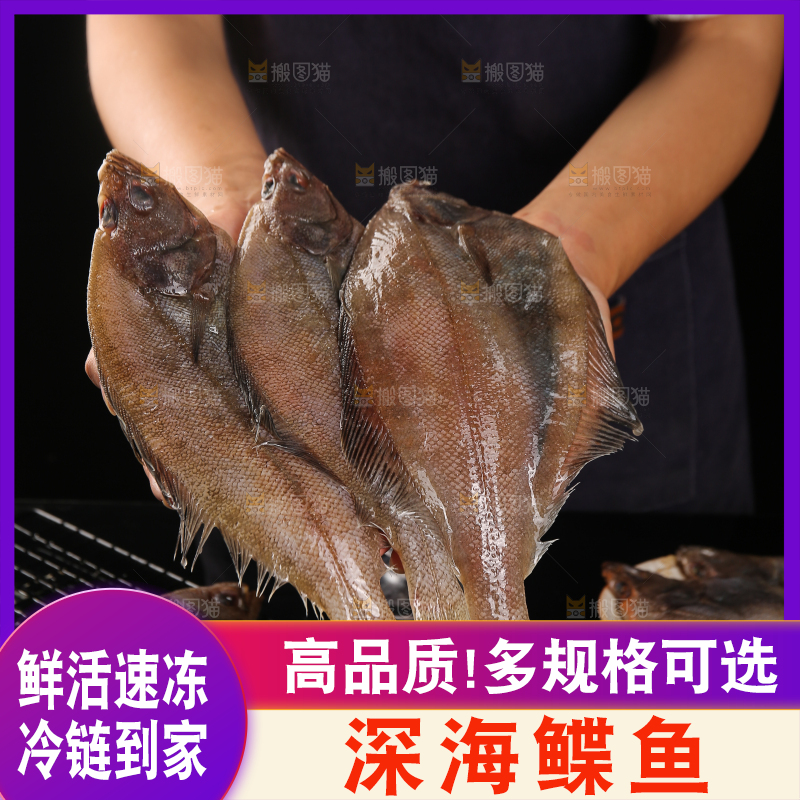 深底上的鲽鱼