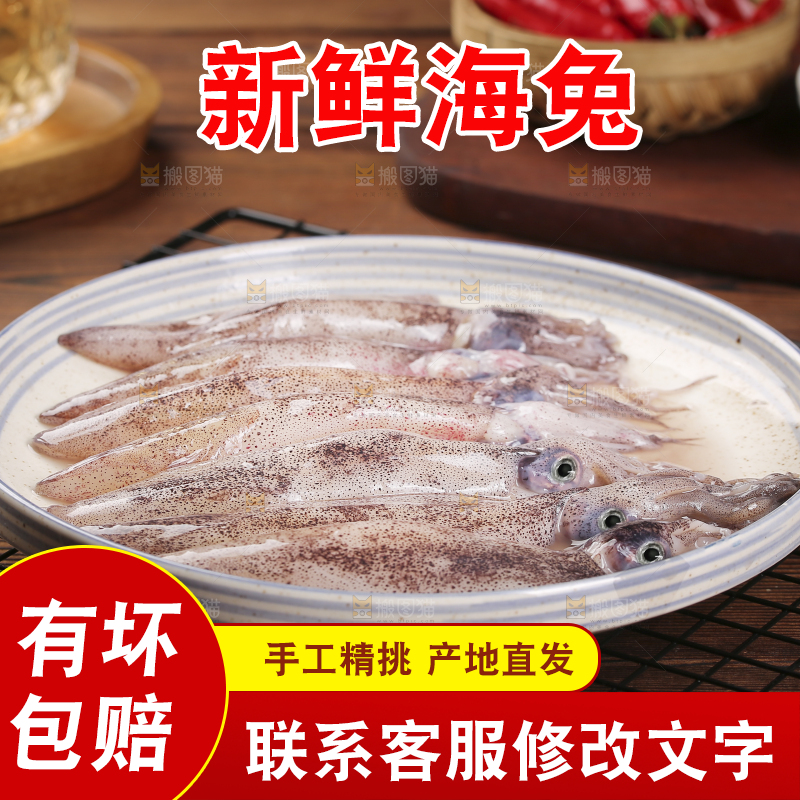 深底上的海兔