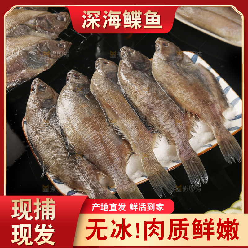 深底上的鲽鱼