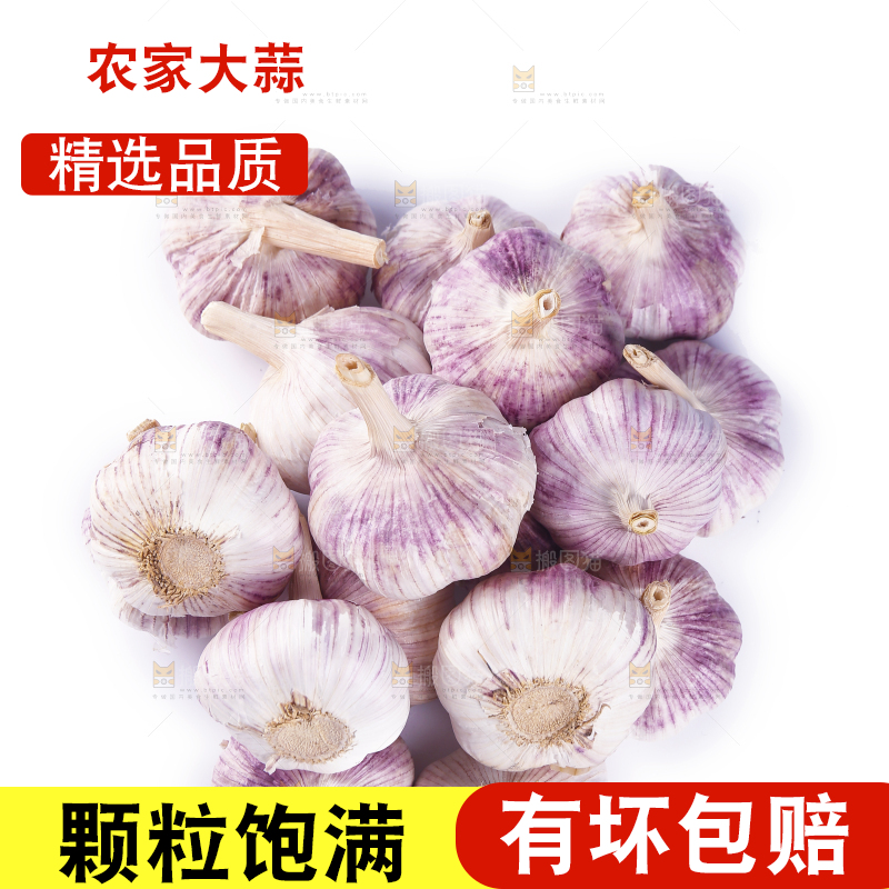 白底上的紫皮干大蒜