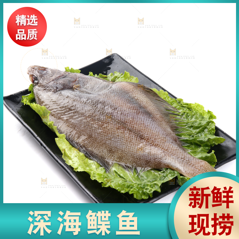 白底上的鲽鱼