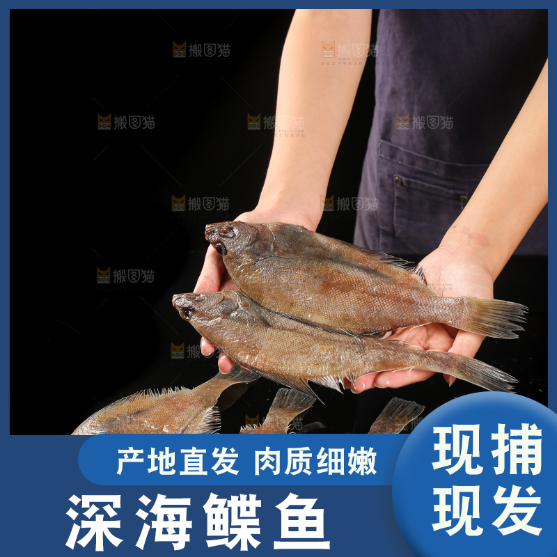 深底上的鲽鱼