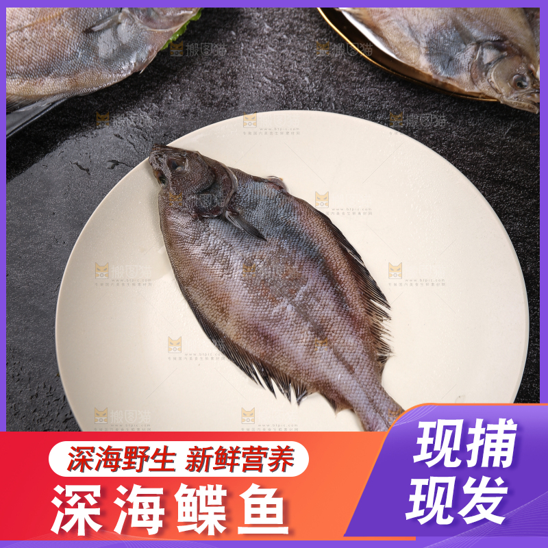 深底上的鲽鱼