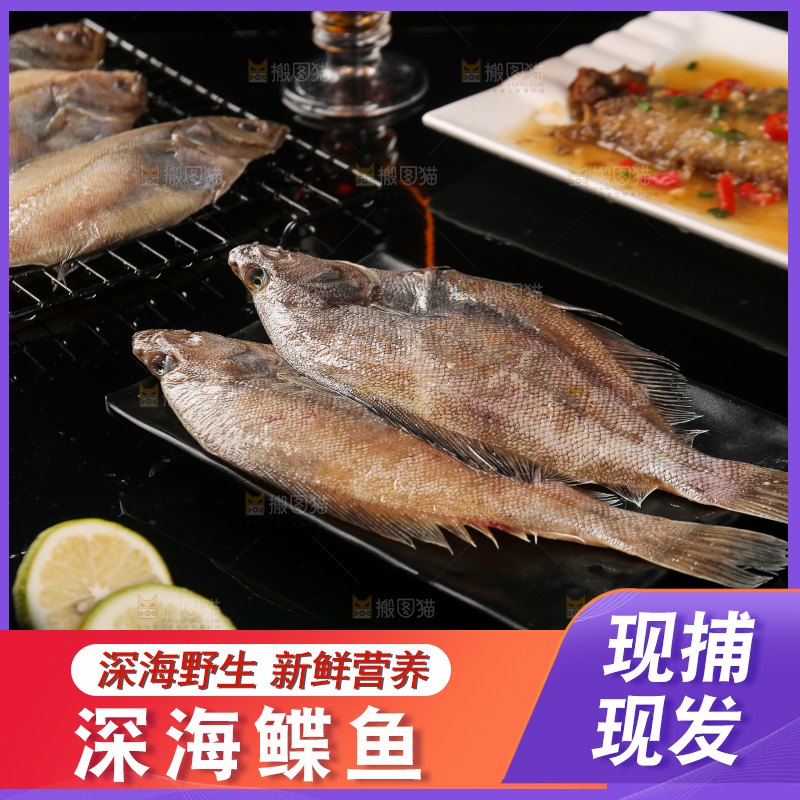 深底上的鲽鱼