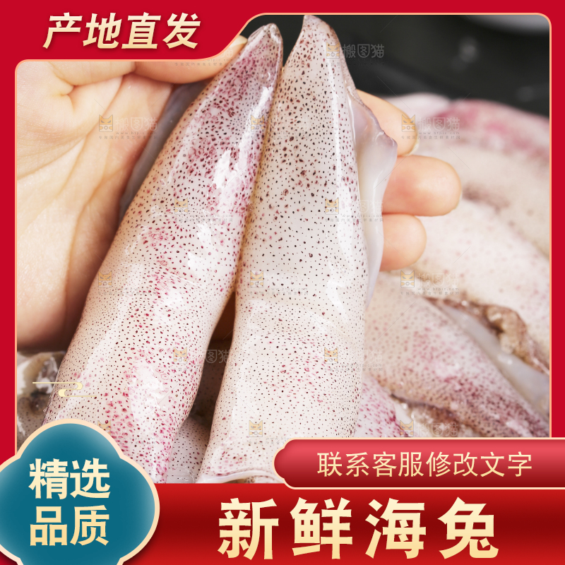 深底上的海兔