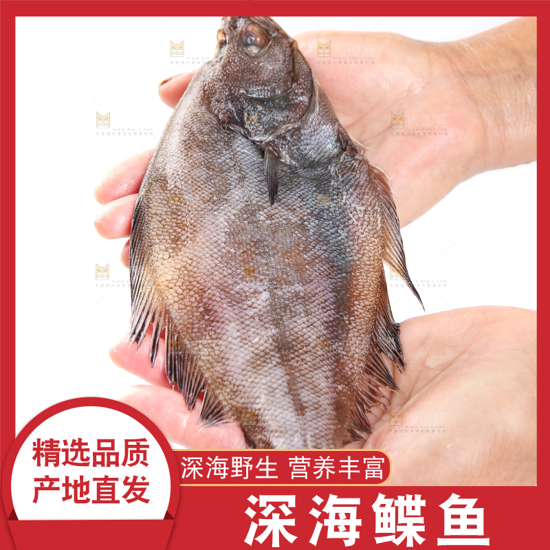 白底上的鲽鱼