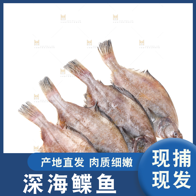 白底上的鲽鱼