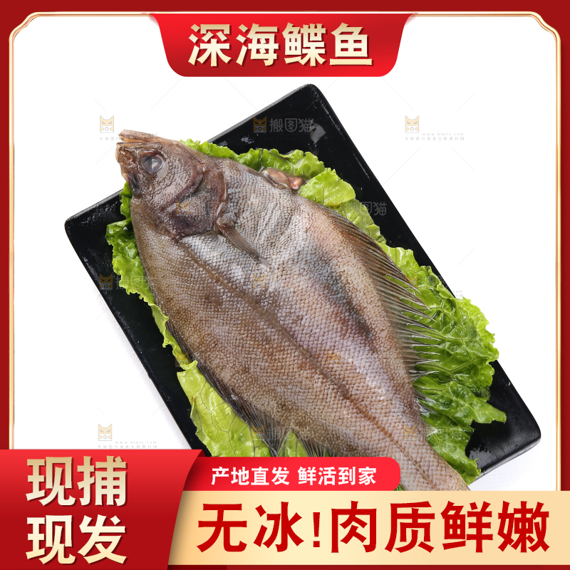 白底上的鲽鱼