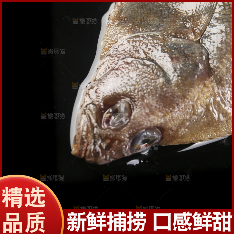 深底上的鲽鱼