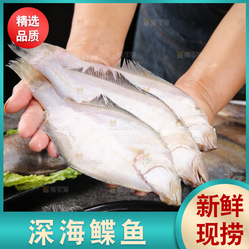 深底上的鲽鱼