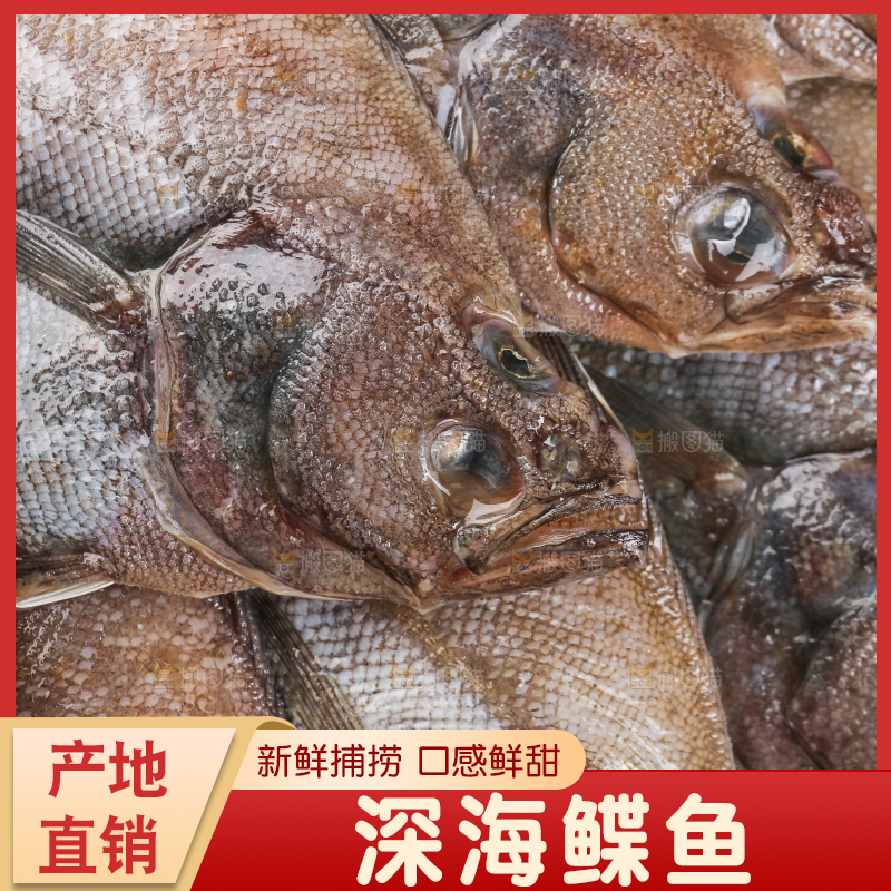 白底上的鲽鱼
