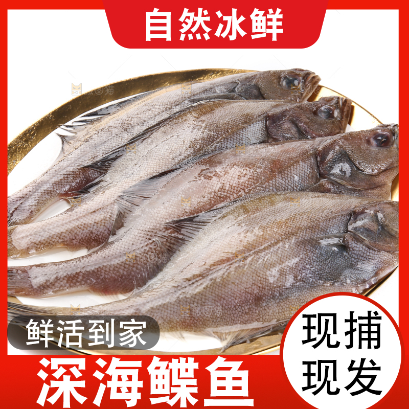 白底上的鲽鱼