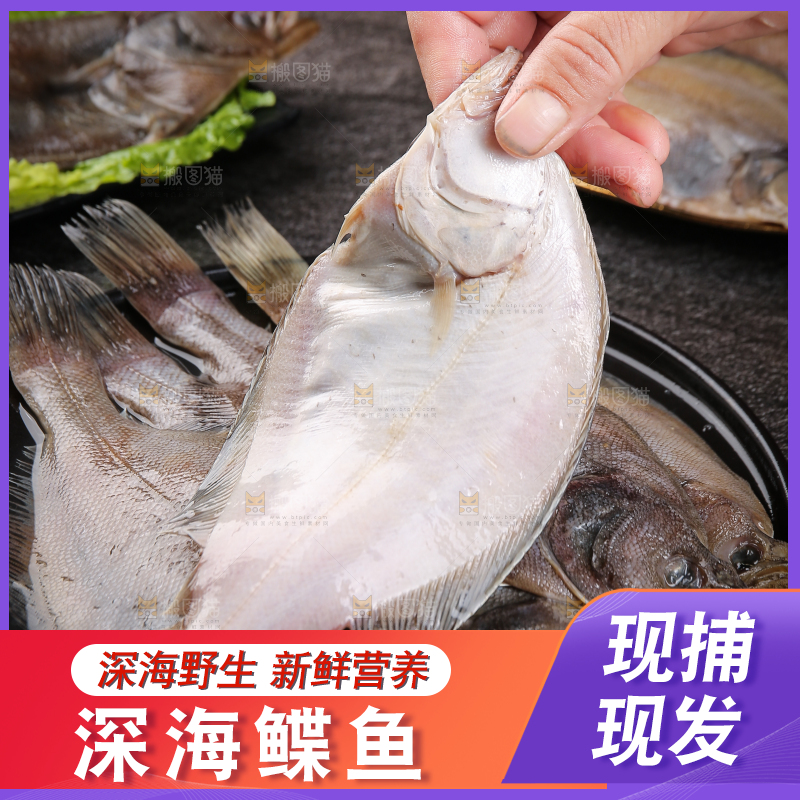 深底上的鲽鱼