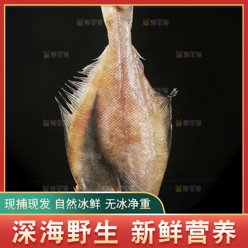 深底上的鲽鱼
