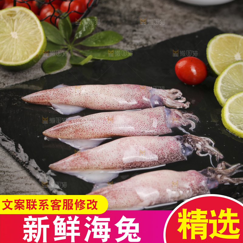 深底上的海兔