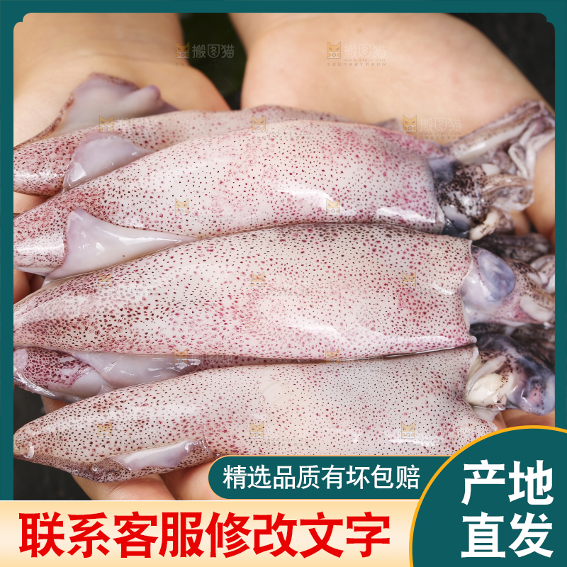 深底上的海兔