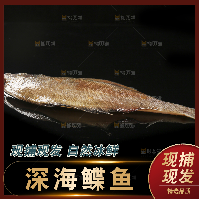 深底上的鲽鱼