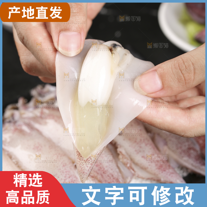 深底上的海兔