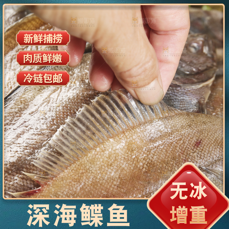 深底上的鲽鱼
