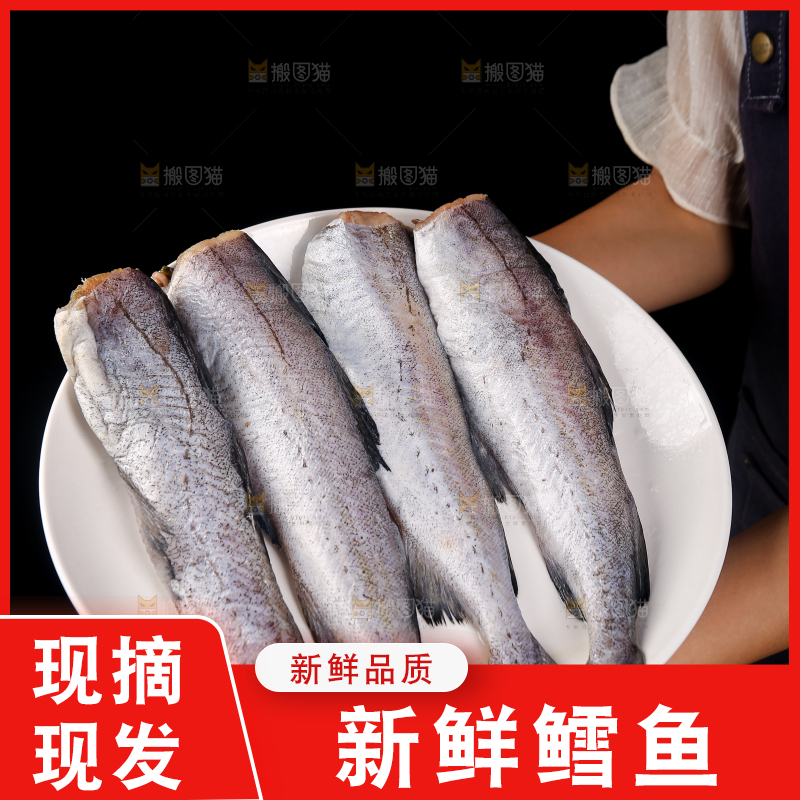 深底上的鳕鱼