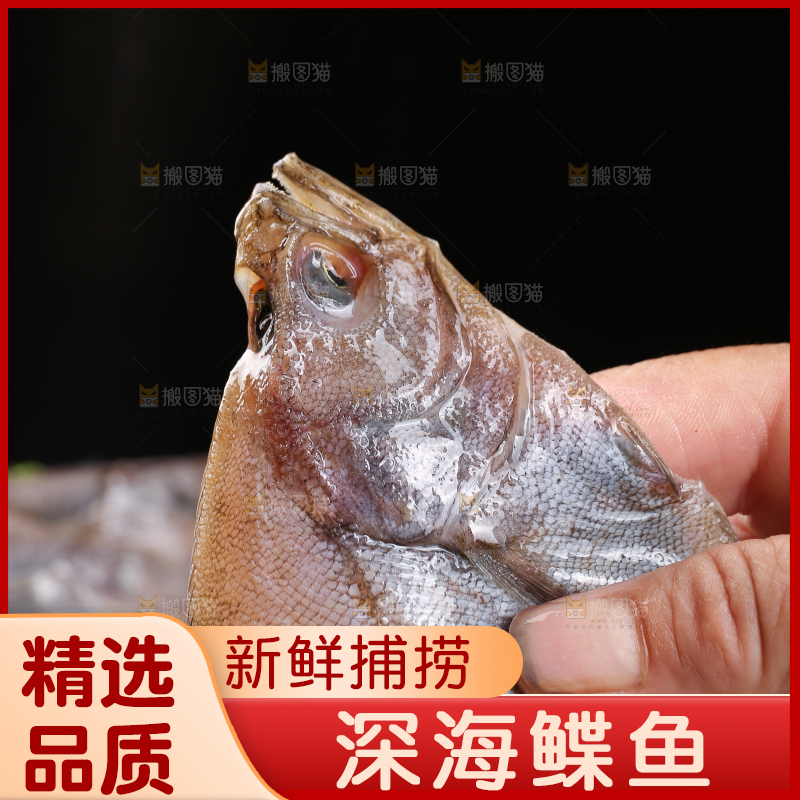 深底上的鲽鱼
