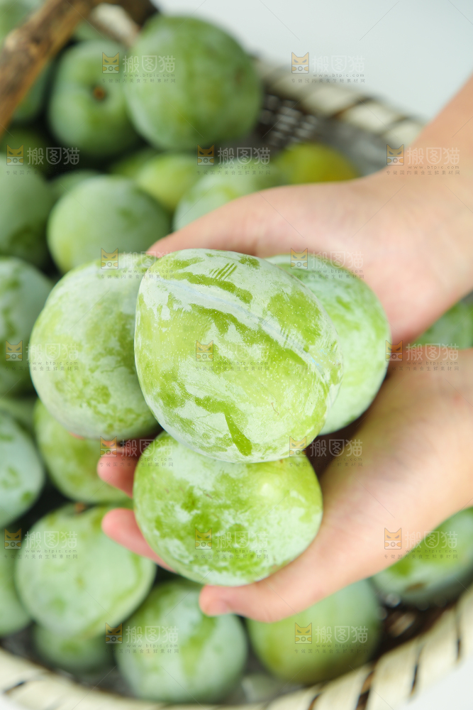 白底上的奈李