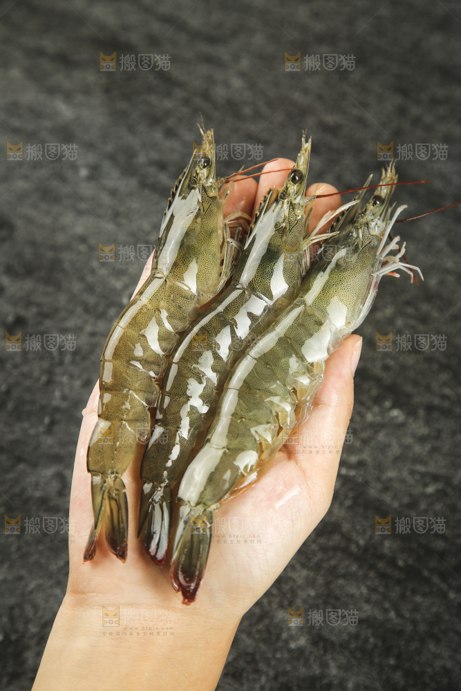 手里拿着青岛大虾