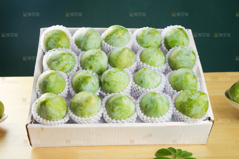浅底上的奈李