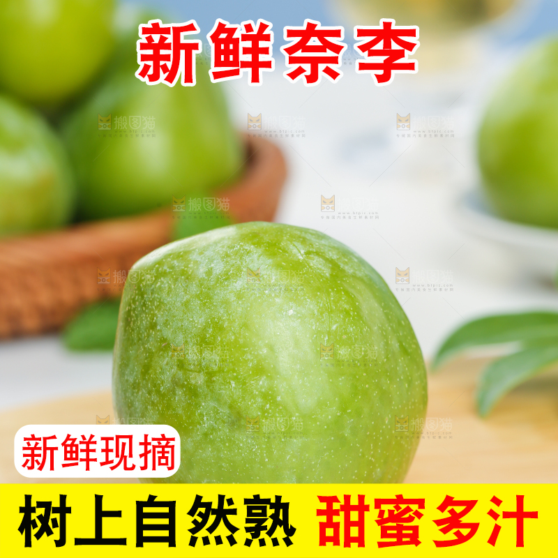 浅底上的奈李
