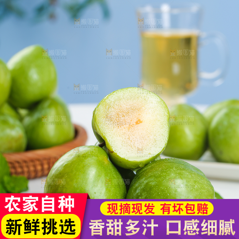 浅底上的奈李