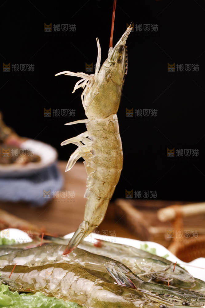 深底上的青岛大虾