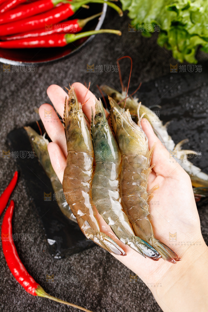 深底上的青岛大虾