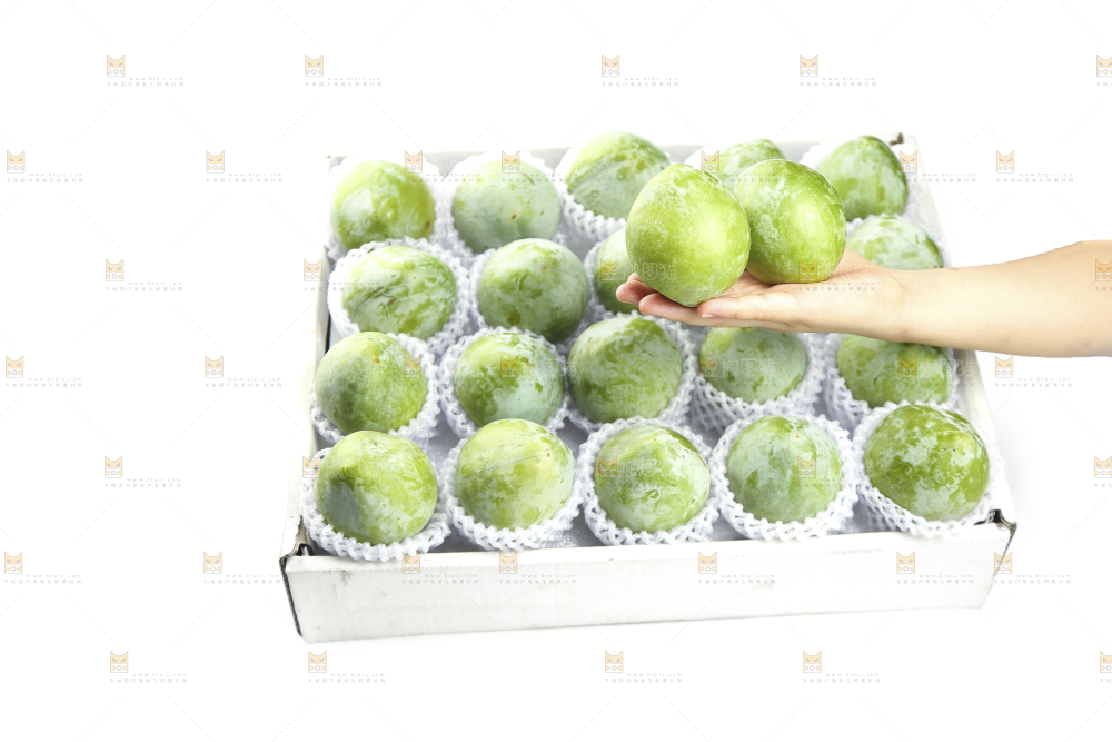 白底上的奈李