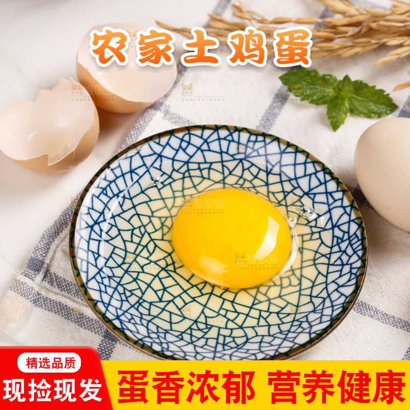 浅底上的土鸡蛋
