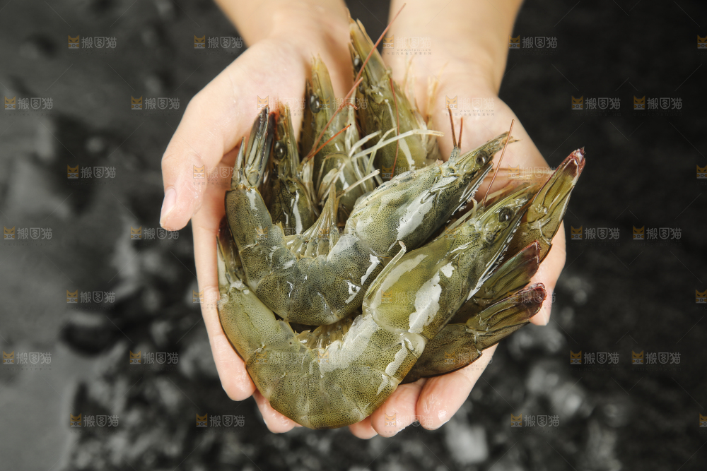 手里拿着青岛大虾