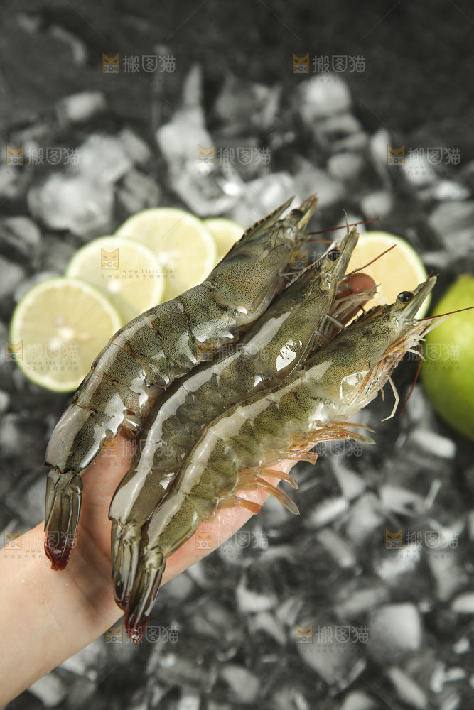 手里拿着青岛大虾