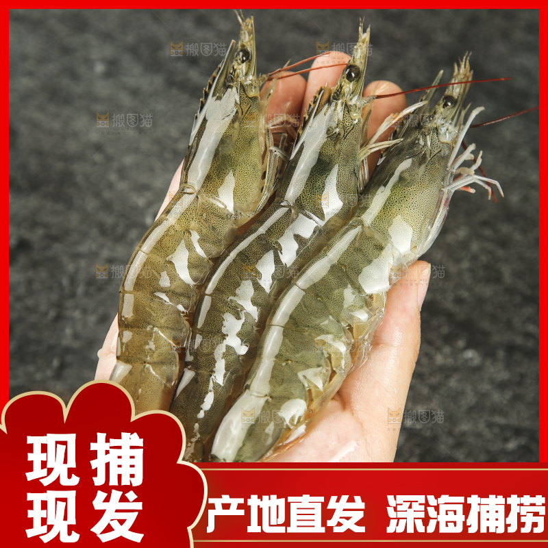 手里拿着青岛大虾