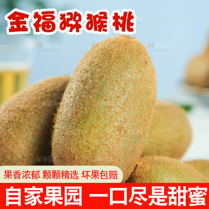 浅底上的猕猴桃