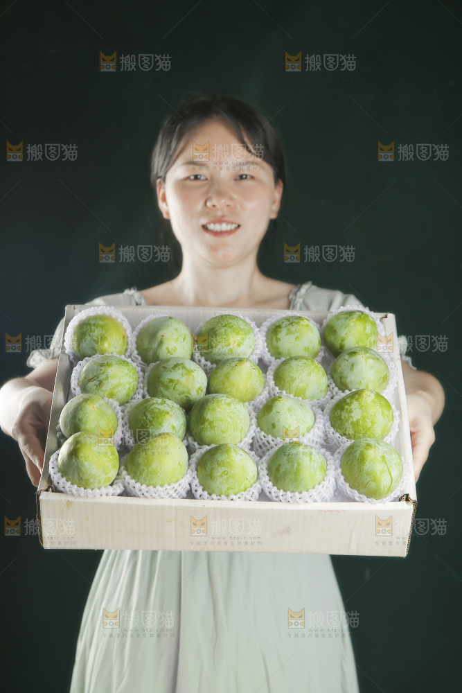 浅底上的奈李