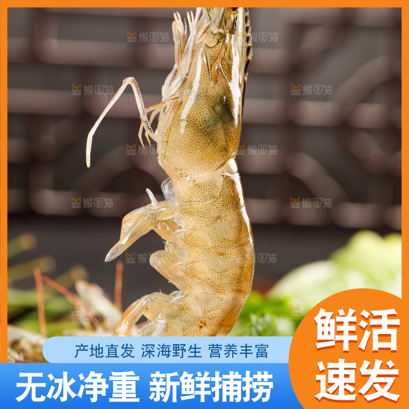 深底上的青岛大虾