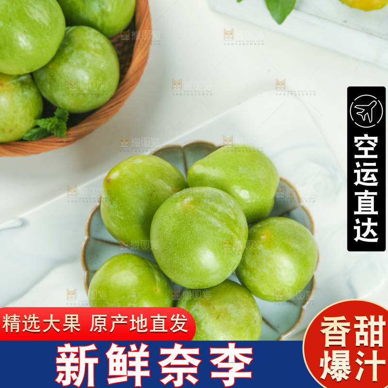 浅底上的奈李