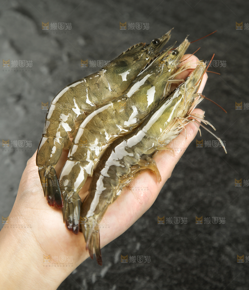 手里拿着青岛大虾