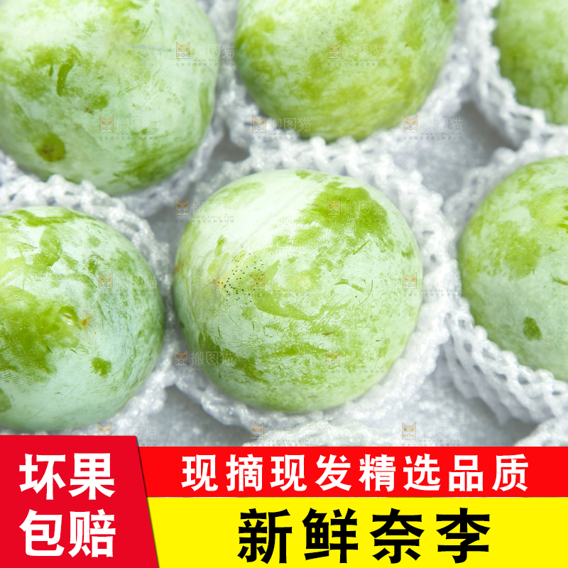 白底上的奈李