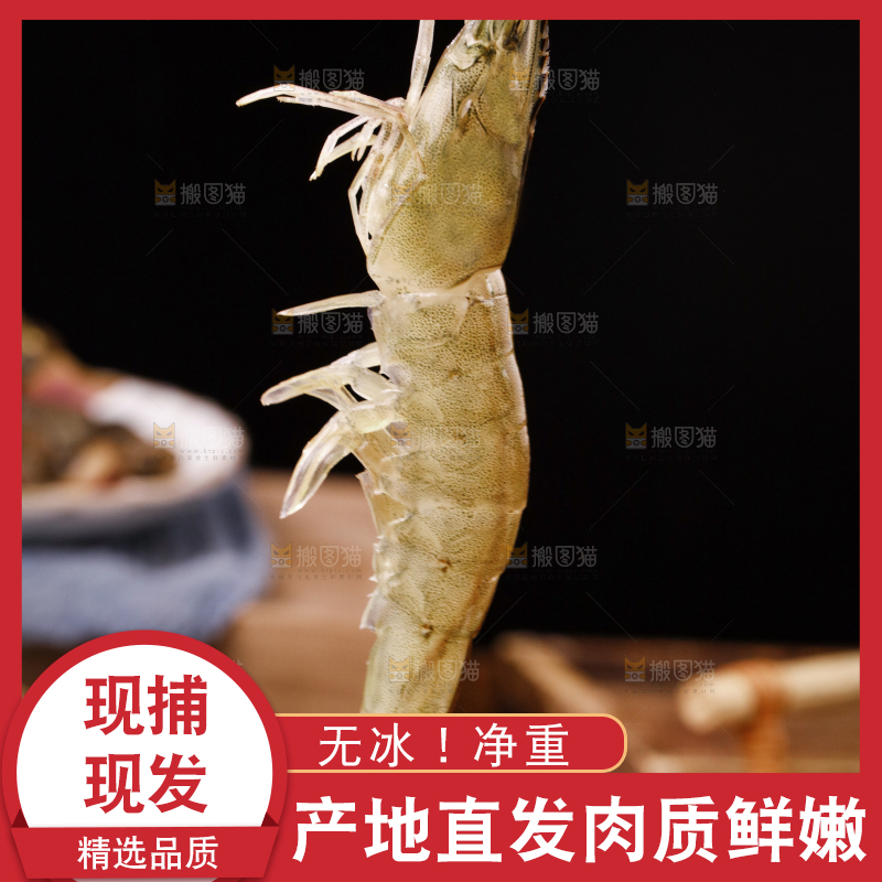 深底上的青岛大虾