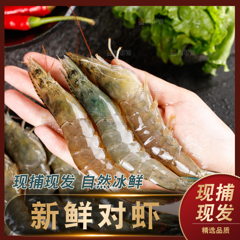 深底上的青岛大虾