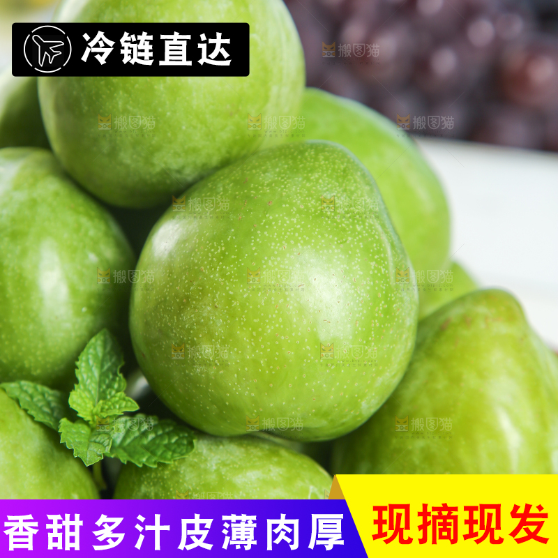 浅底上的奈李