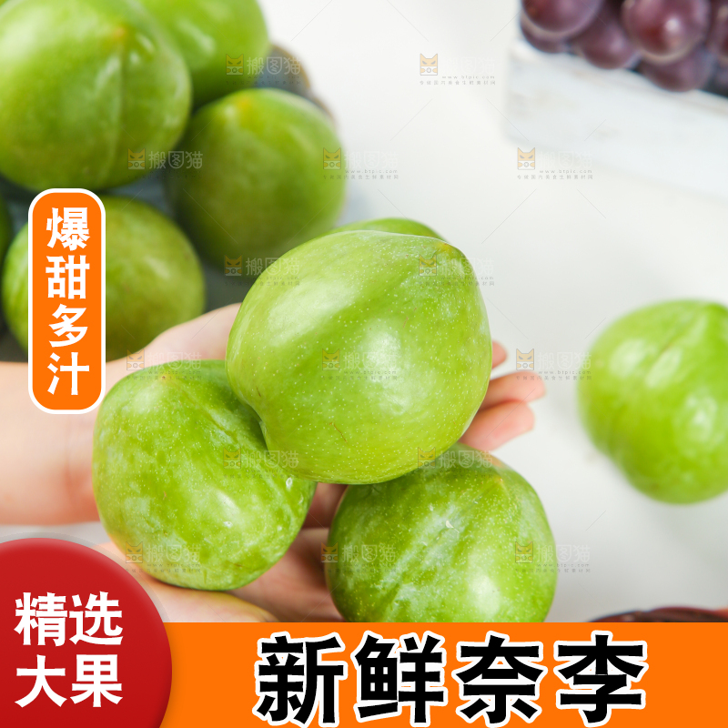 浅底上的奈李
