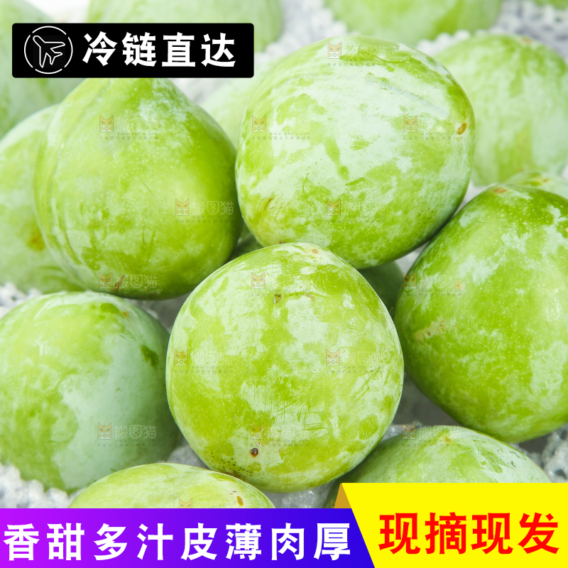 白底上的奈李