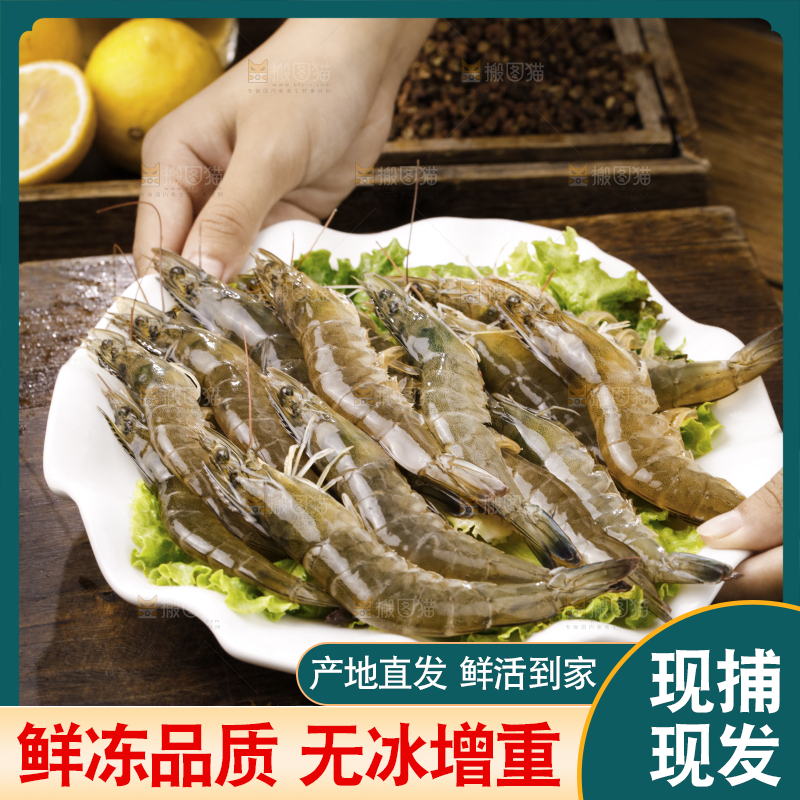 深底上的青岛大虾