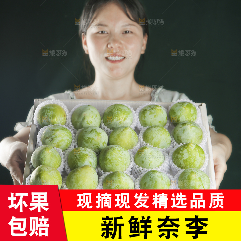 浅底上的奈李